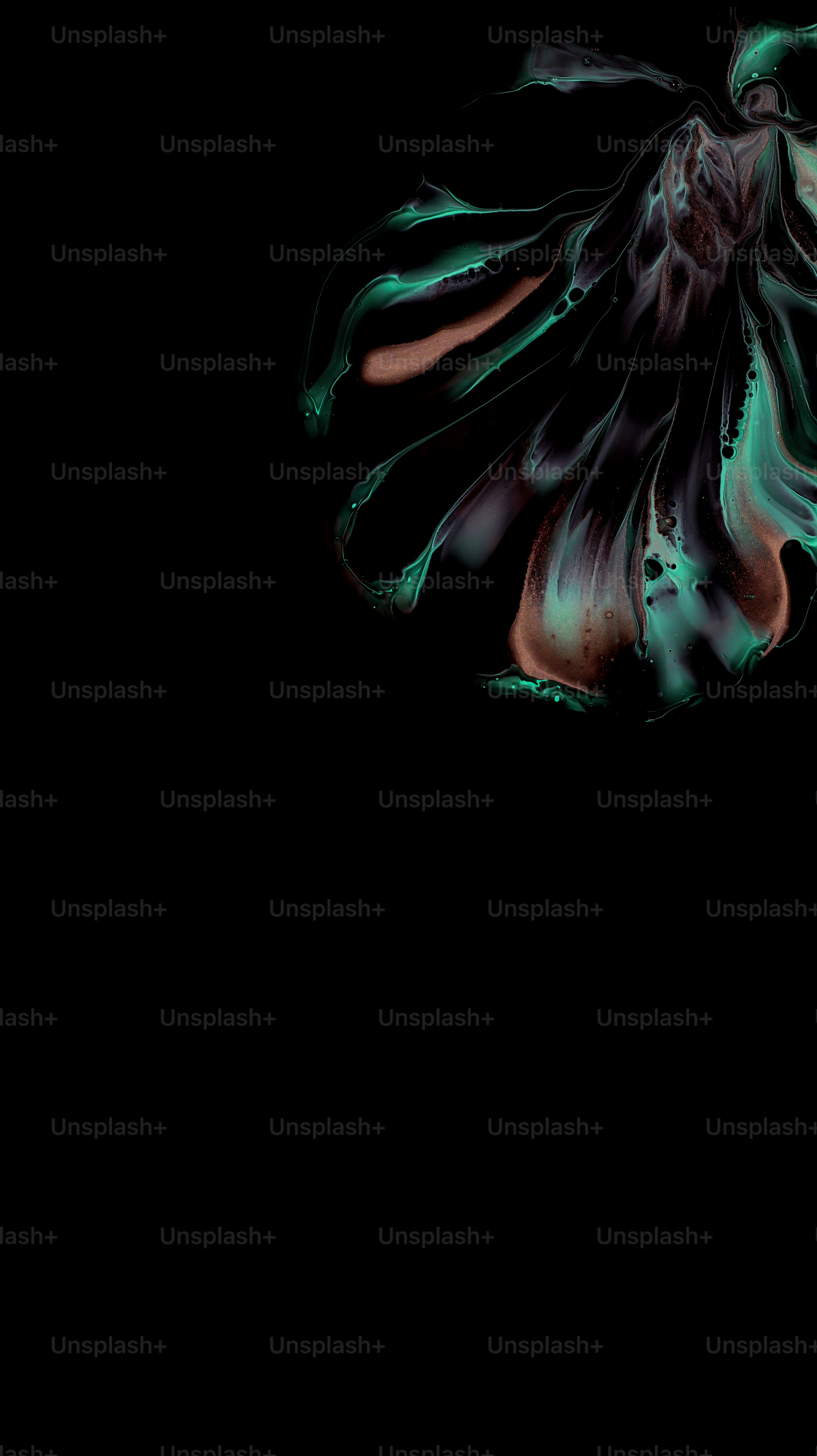 a black background with a green and orange flower
