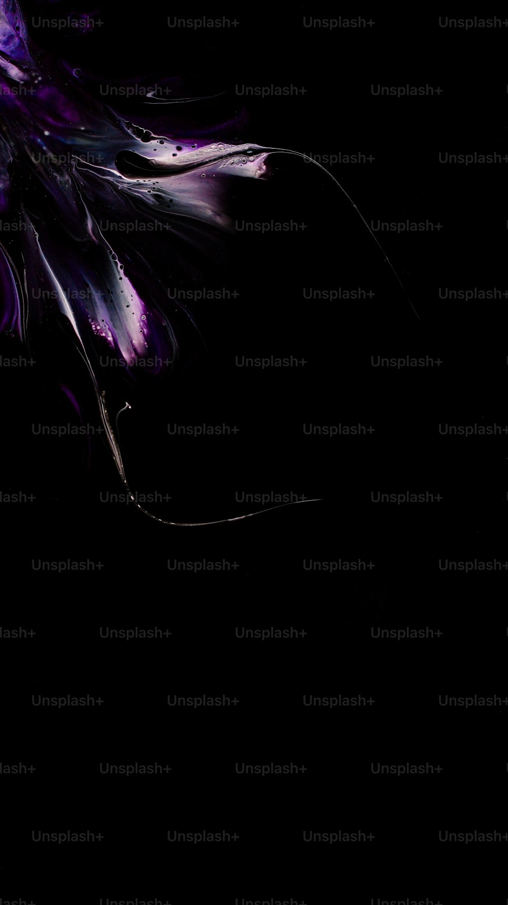 a black background with a purple flower on it