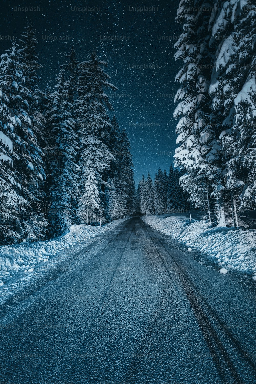 雪に覆われた森の真ん中にある道