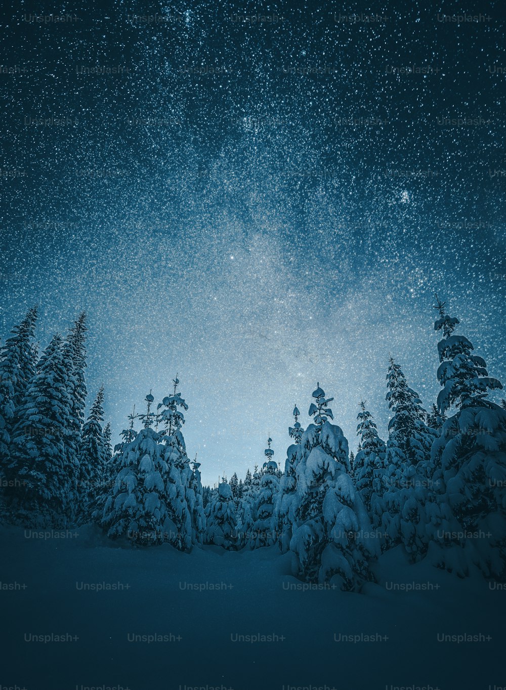 Premium Photo  Beautiful view of a night winter landscape with