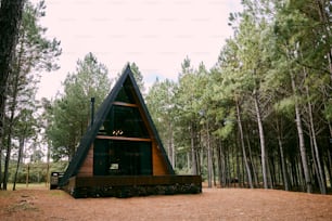 a - frame cabin in the middle of a pine forest