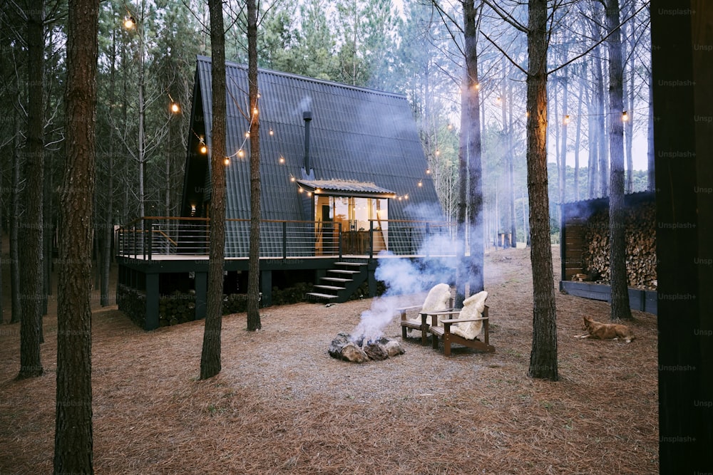 eine kleine Hütte im Wald mit einer Feuerstelle