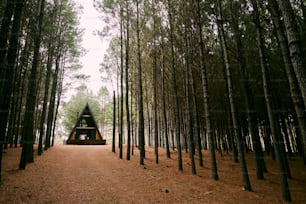 Una pequeña cabaña en medio de un bosque