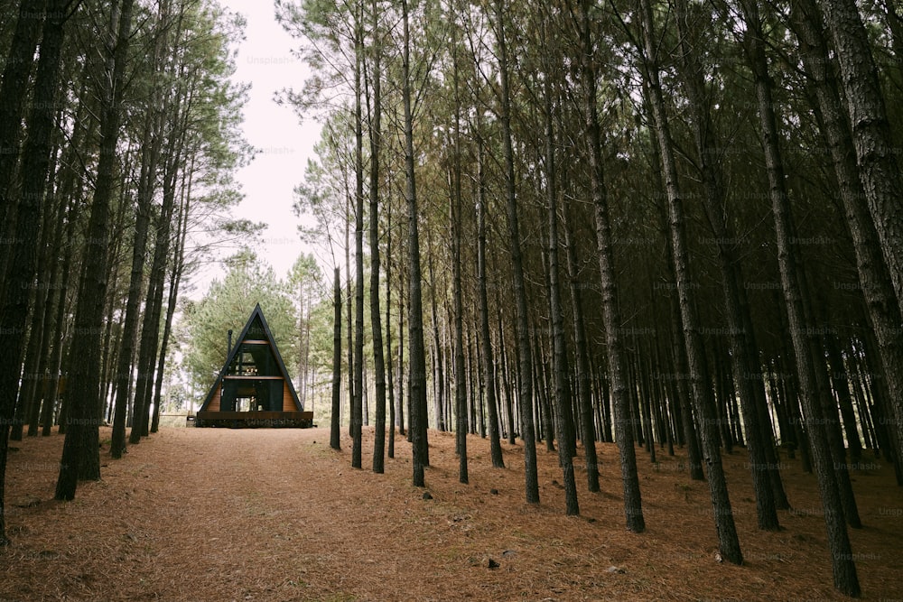 a small cabin in the middle of a forest