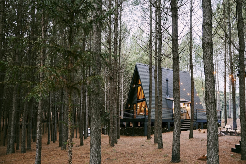 a small cabin nestled in the middle of a forest