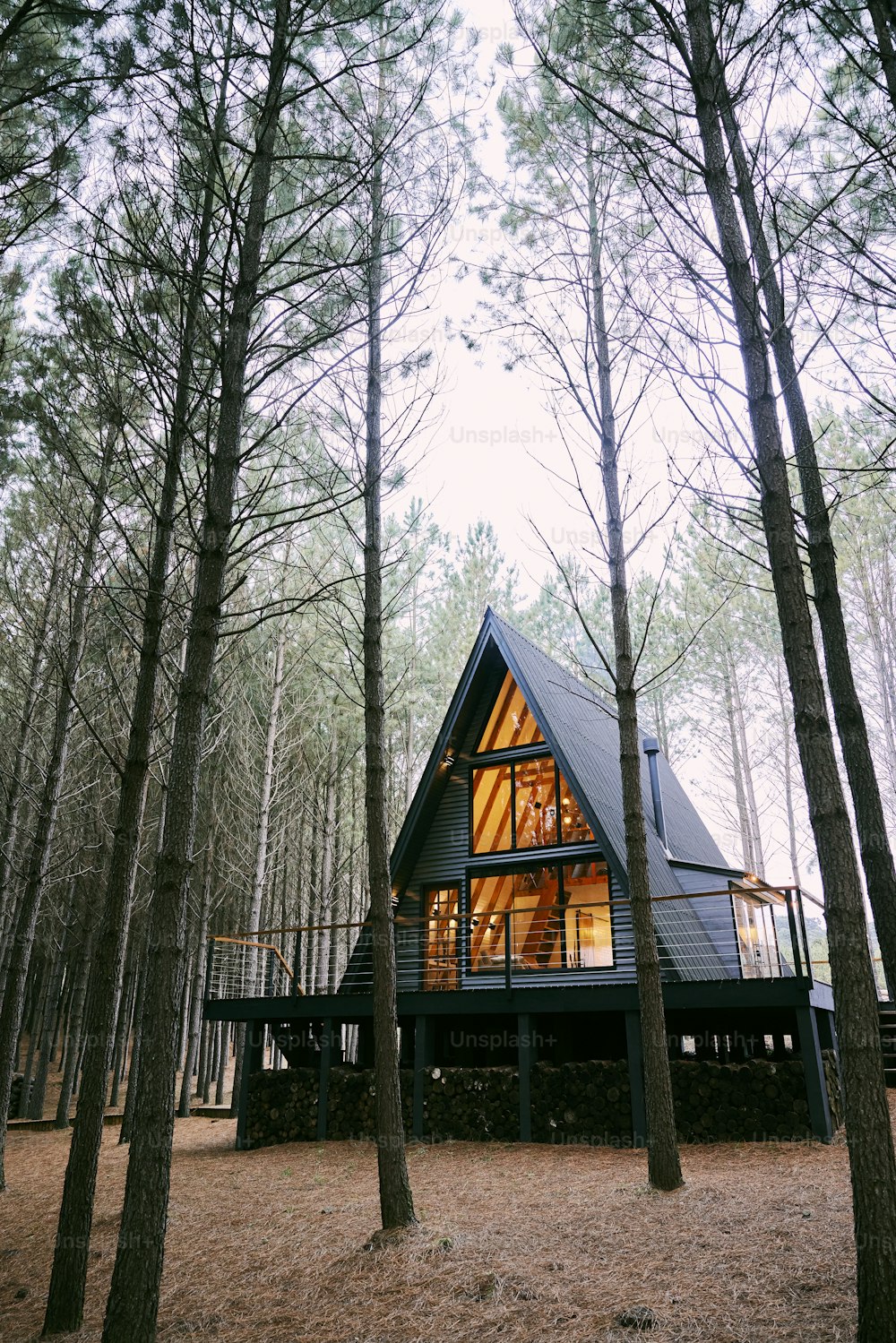 a cabin nestled in the woods surrounded by trees