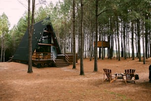 Una tienda de campaña instalada en medio de un bosque