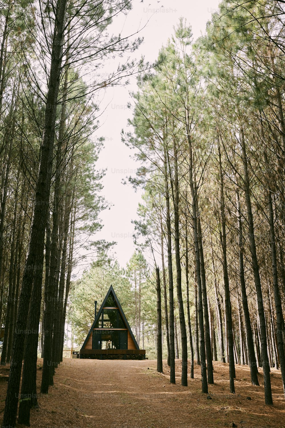 a small cabin in the middle of a forest