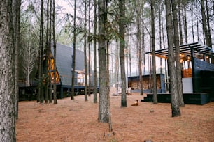 a couple of cabins in the middle of a forest