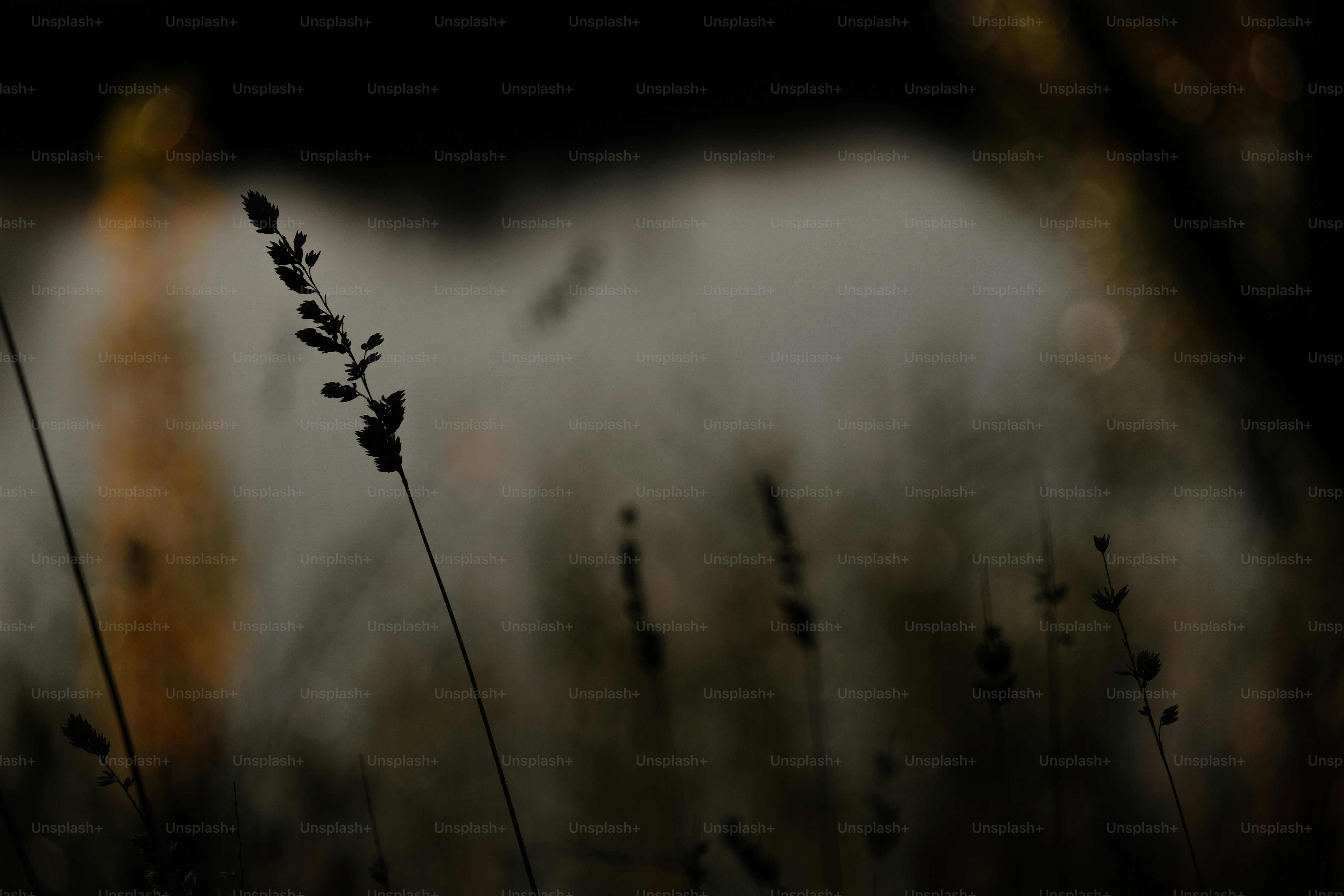 [계약직 근로계약 기간]정년퇴직 이후 촉탁직(촉탁계약직)의 계약기간과 연차휴가·퇴직금 산정 은?(계속) - 와우