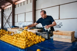 a man standing next to a pile of oranges