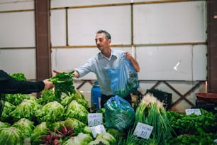 a couple of men standing next to a pile of lettuce