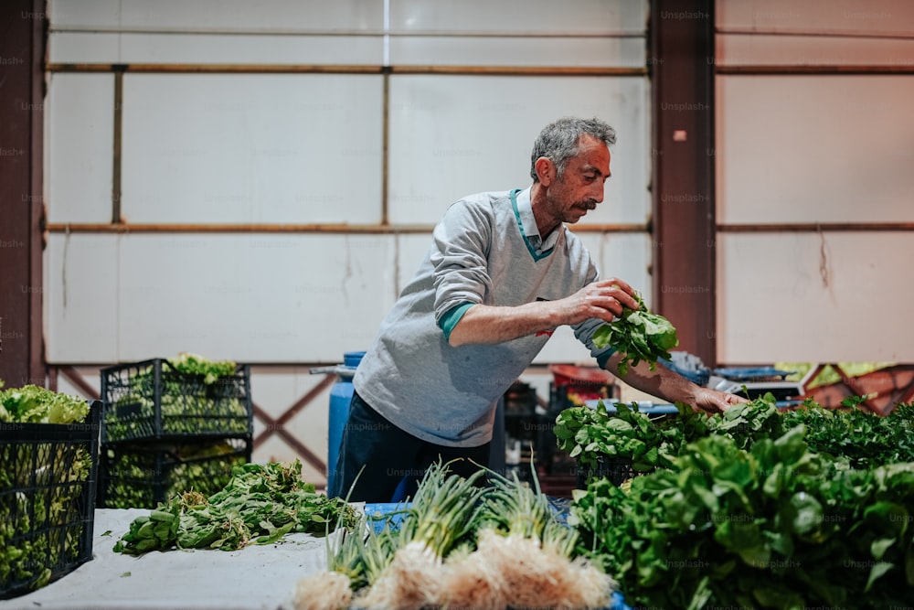 a man standing over a table filled with lots of green vegetables