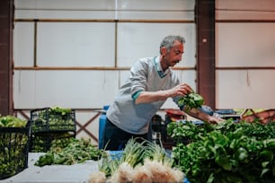 a man standing over a table filled with lots of green vegetables