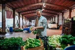 a man holding a bunch of lettuce in a warehouse