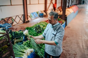 Un uomo in piedi davanti a un mucchio di verdure