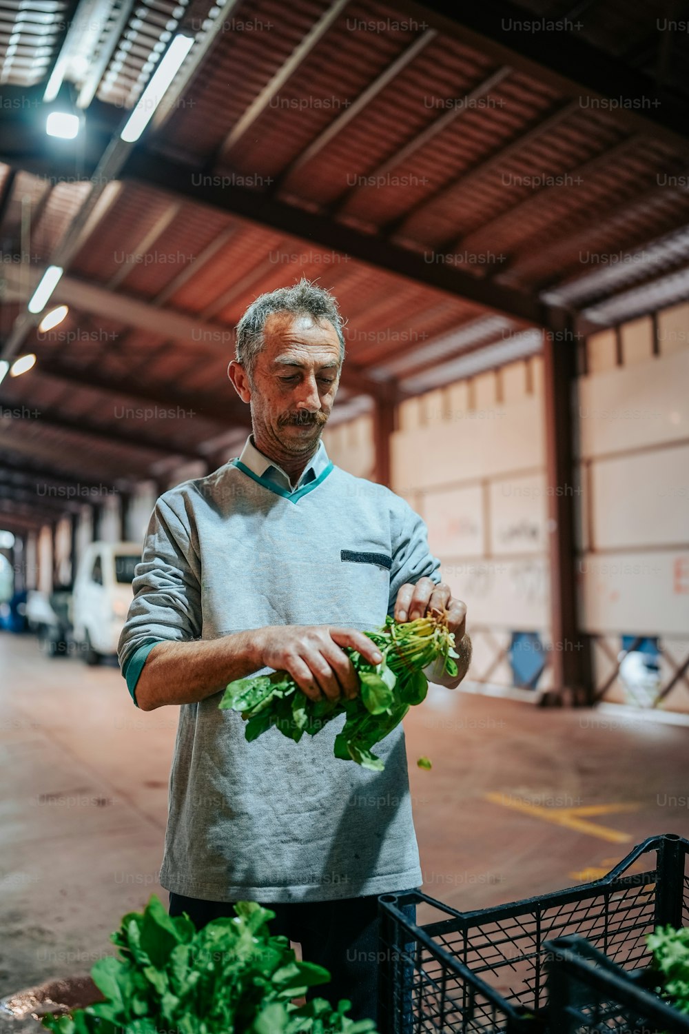 a man holding a bunch of lettuce in a warehouse