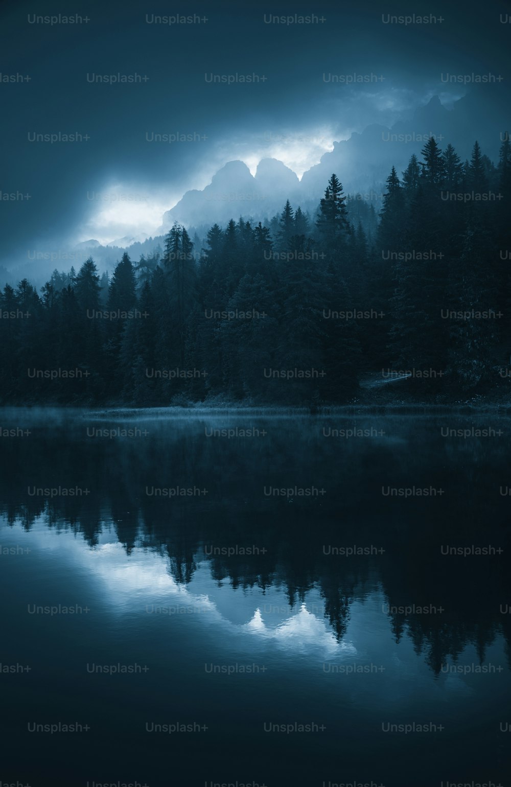 a body of water surrounded by forest under a cloudy sky