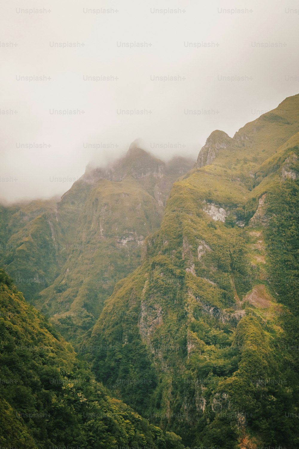 a mountain with a few trees on the side of it