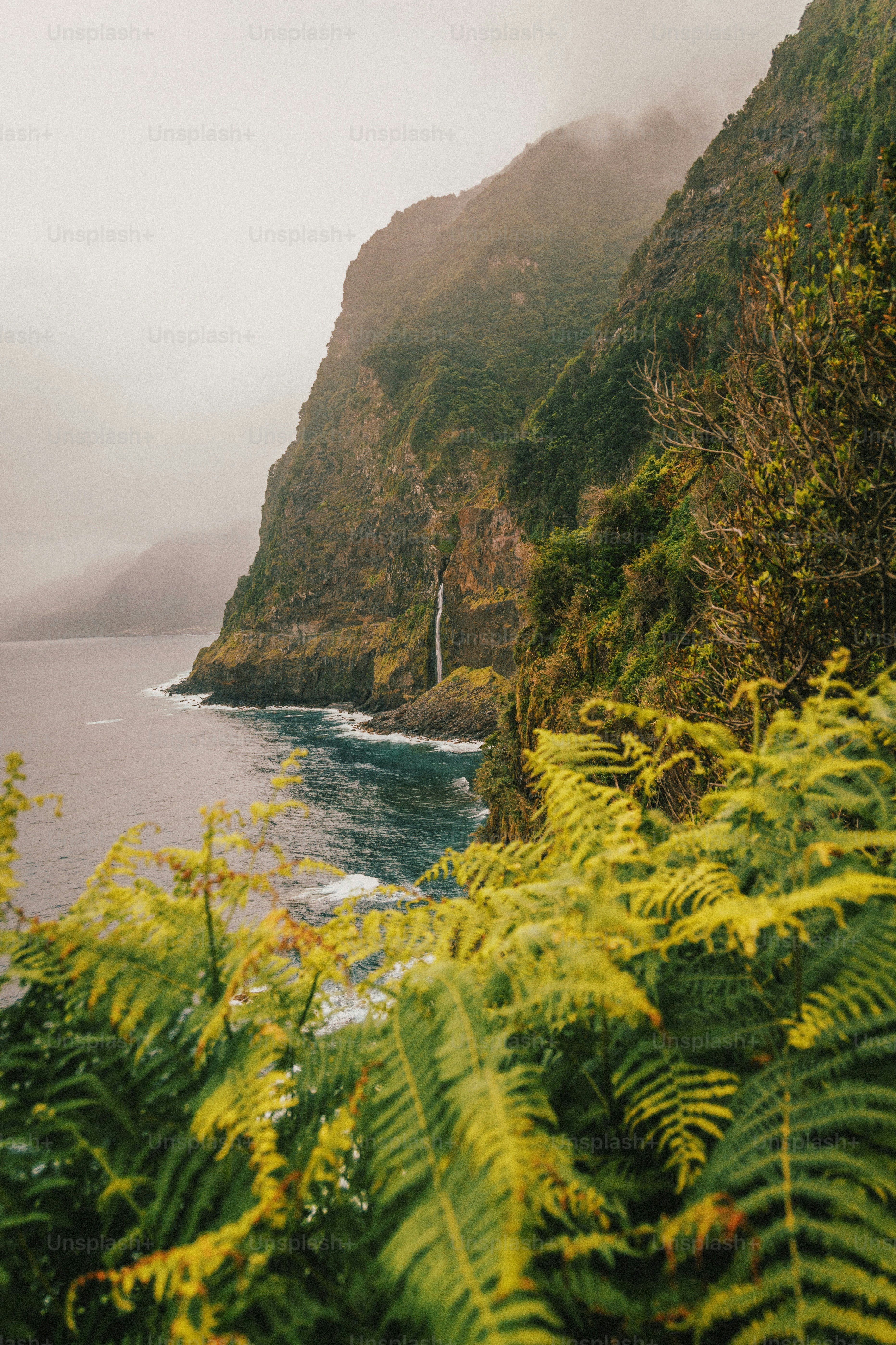Oahu Hawaii Pictures | Download Free Images on Unsplash