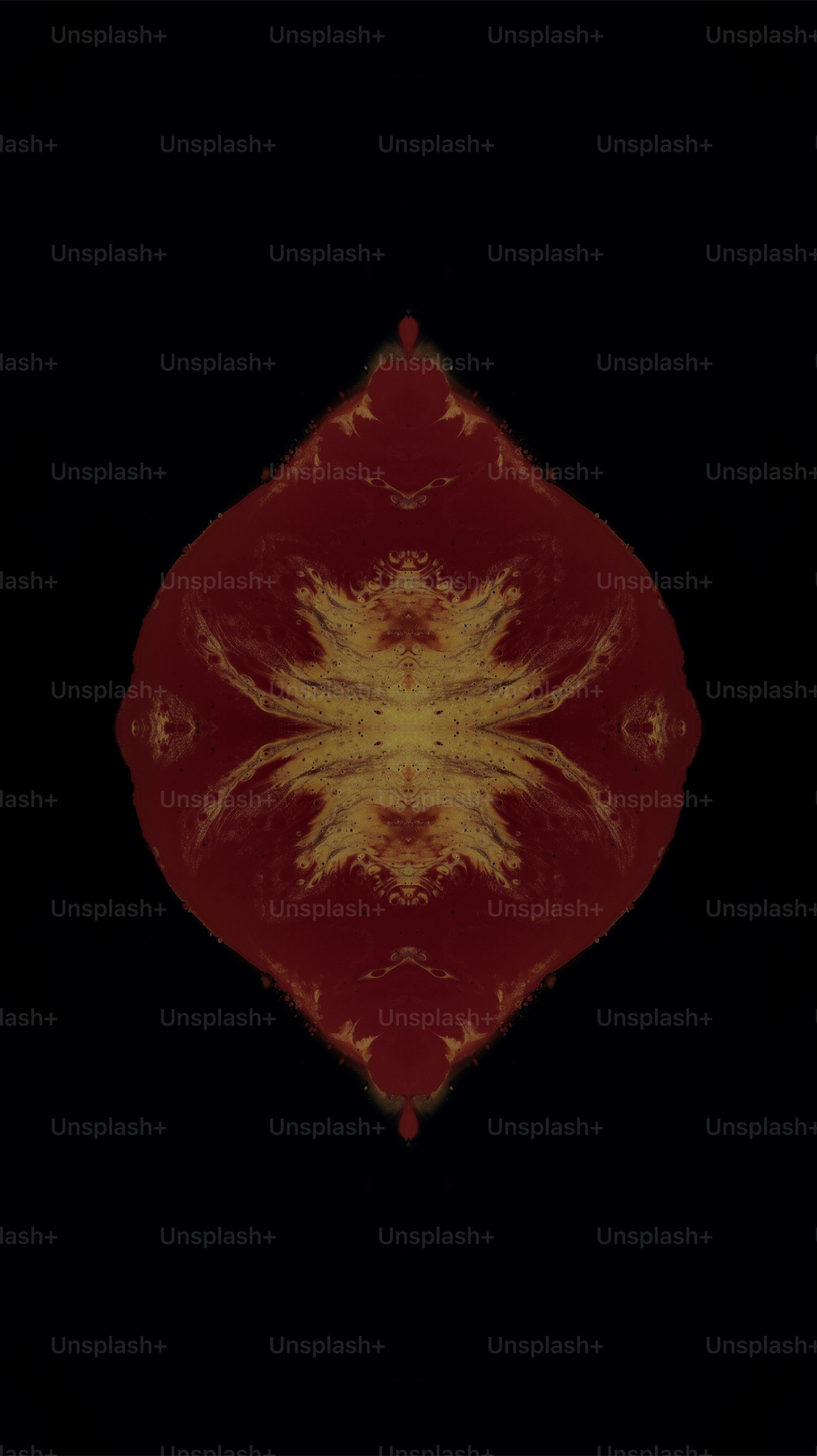 a picture of a red and yellow flower on a black background