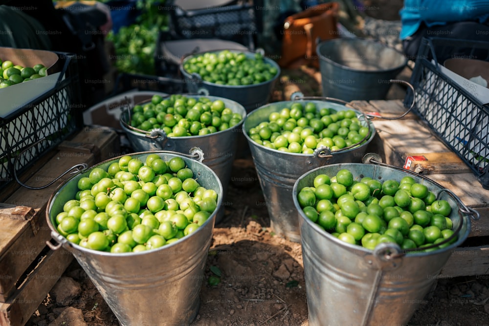 a bunch of buckets filled with green grapes