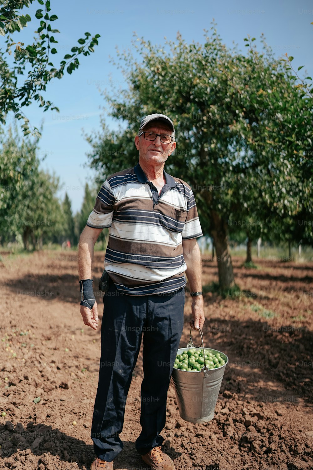 Un uomo in piedi in un campo con in mano un secchio di frutta