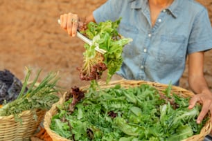 a woman is holding a basket full of greens