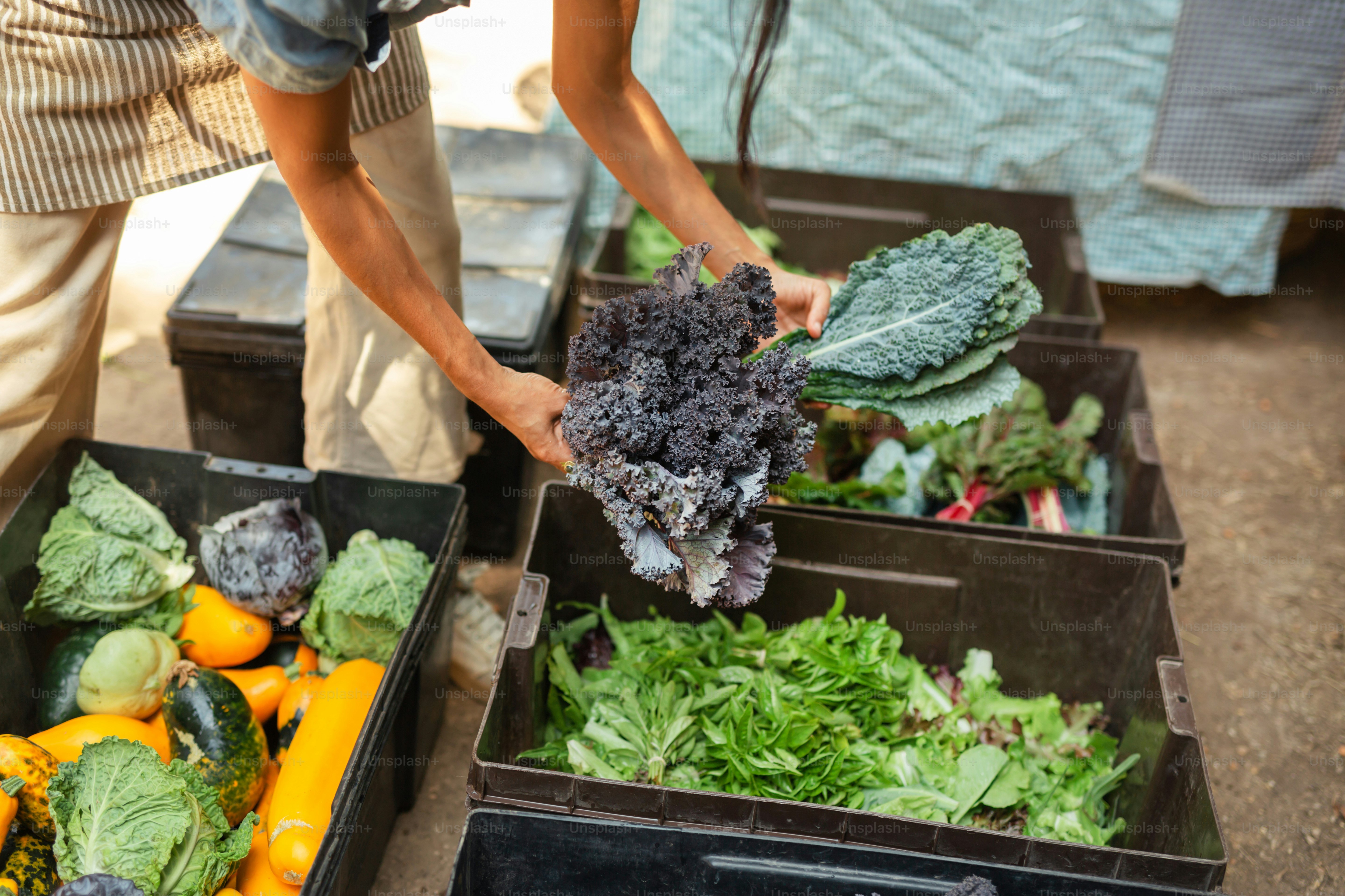 a person holding a bunch of lettuce over a box of vegetables