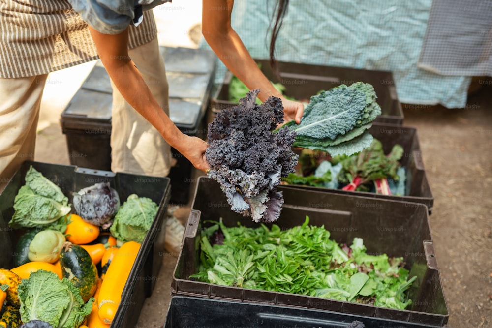 a person holding a bunch of lettuce over a box of vegetables