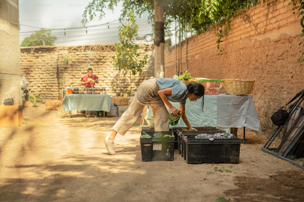 a woman bending over to pick up a plant