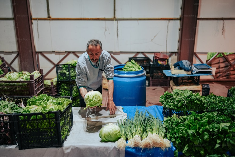 um homem cortando uma melancia em um mercado de agricultores