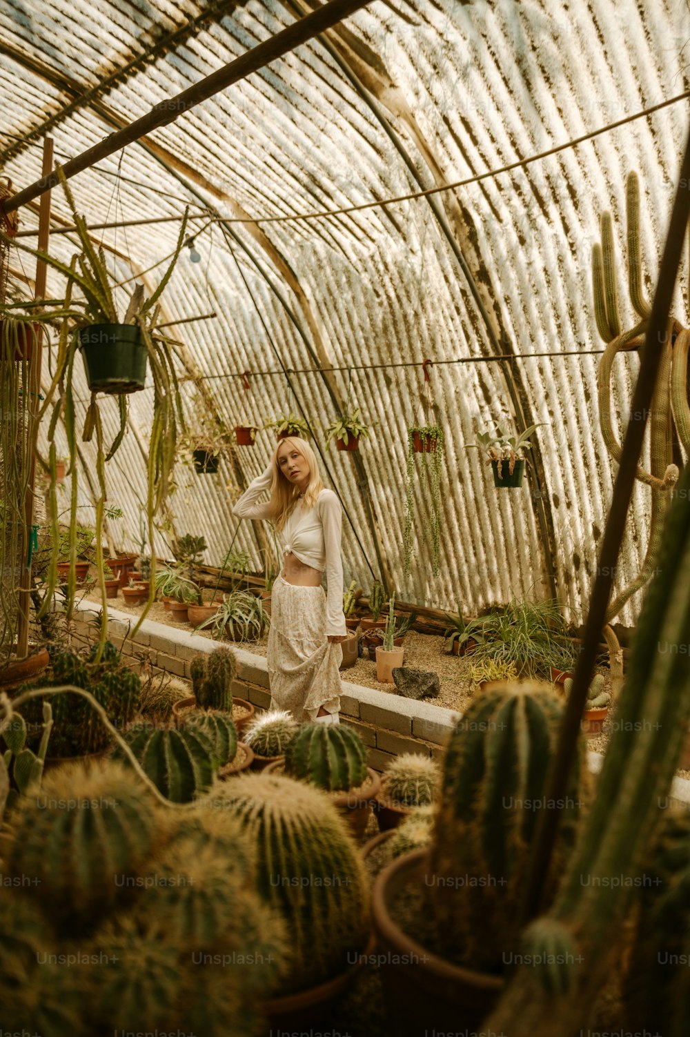 a woman standing in a greenhouse surrounded by cacti