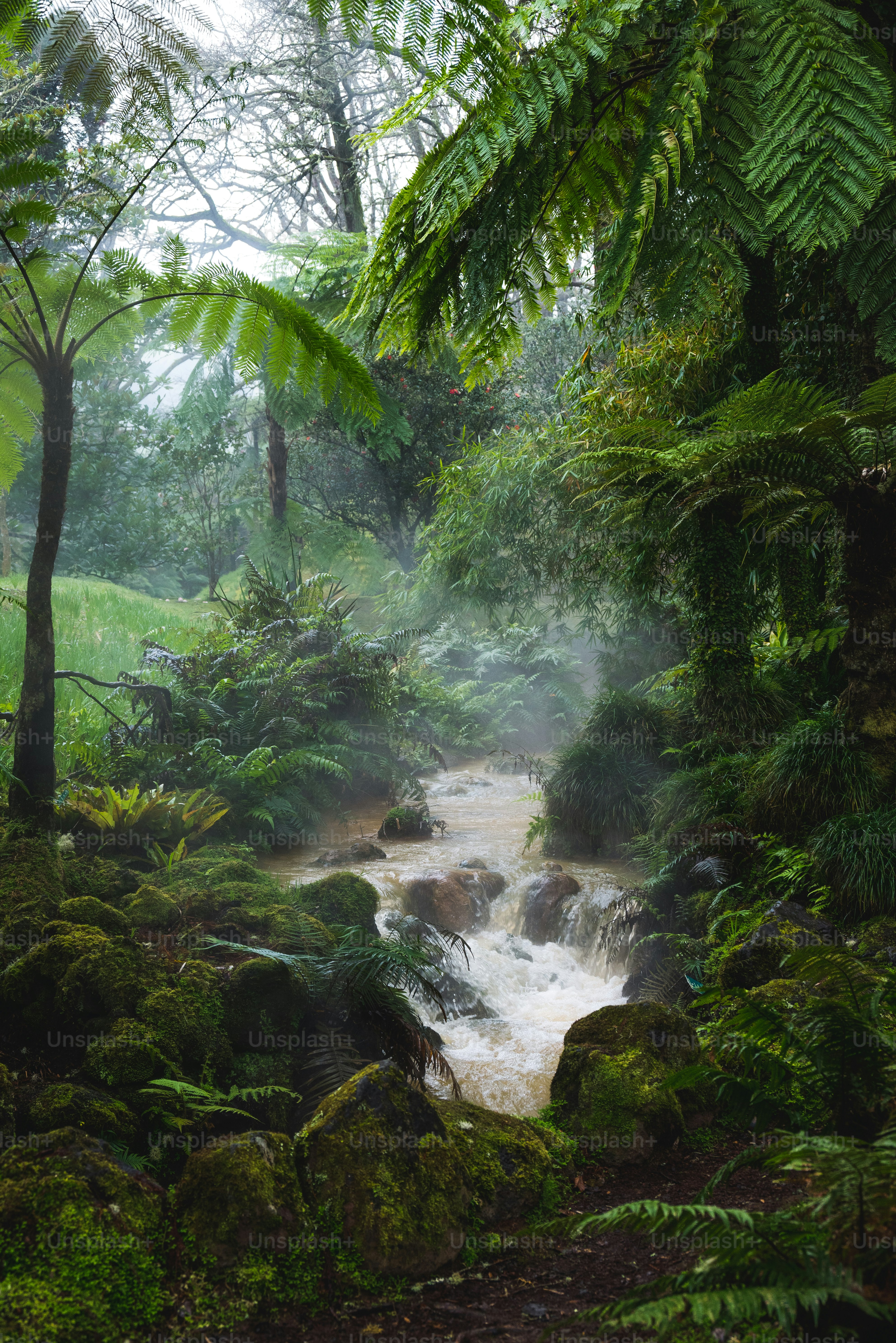 Bickley, Western Australia