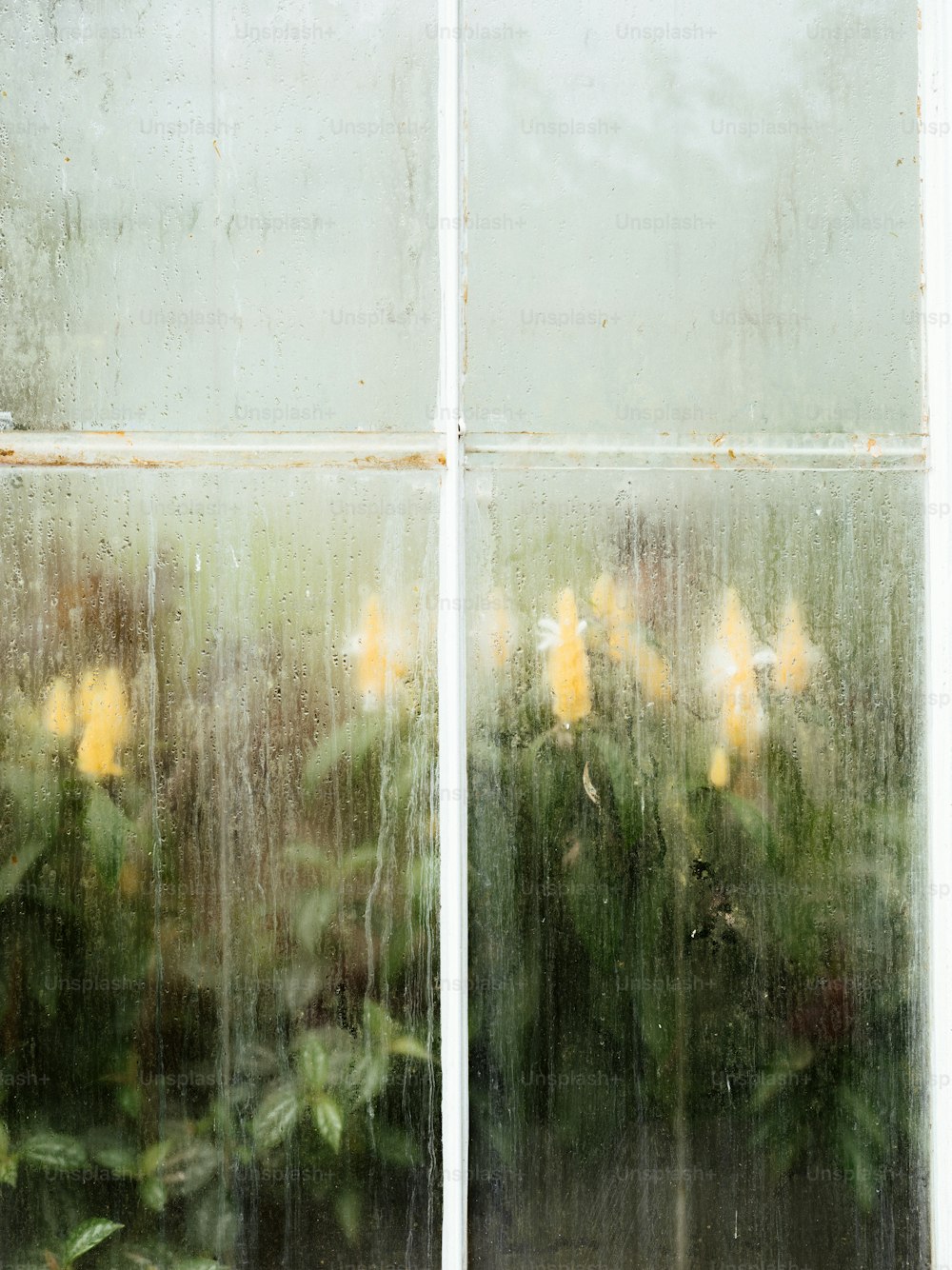 Un primo piano di una finestra con fiori in esso