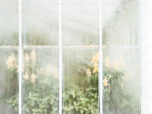 un gros plan d’une fenêtre avec des fleurs dedans