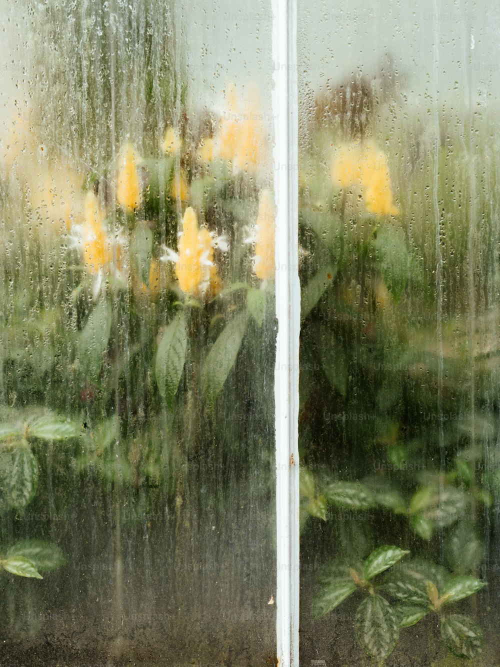 a close up of a window with a bunch of flowers
