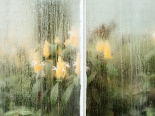 a close up of a window with a bunch of flowers