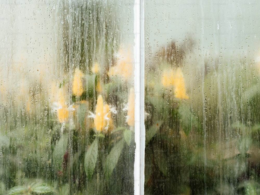 a close up of a window with a bunch of flowers