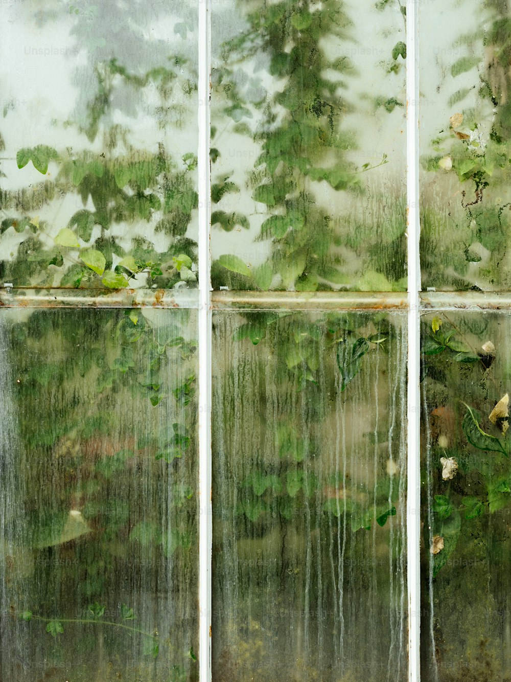 Blick durch ein Fenster auf einen Wald