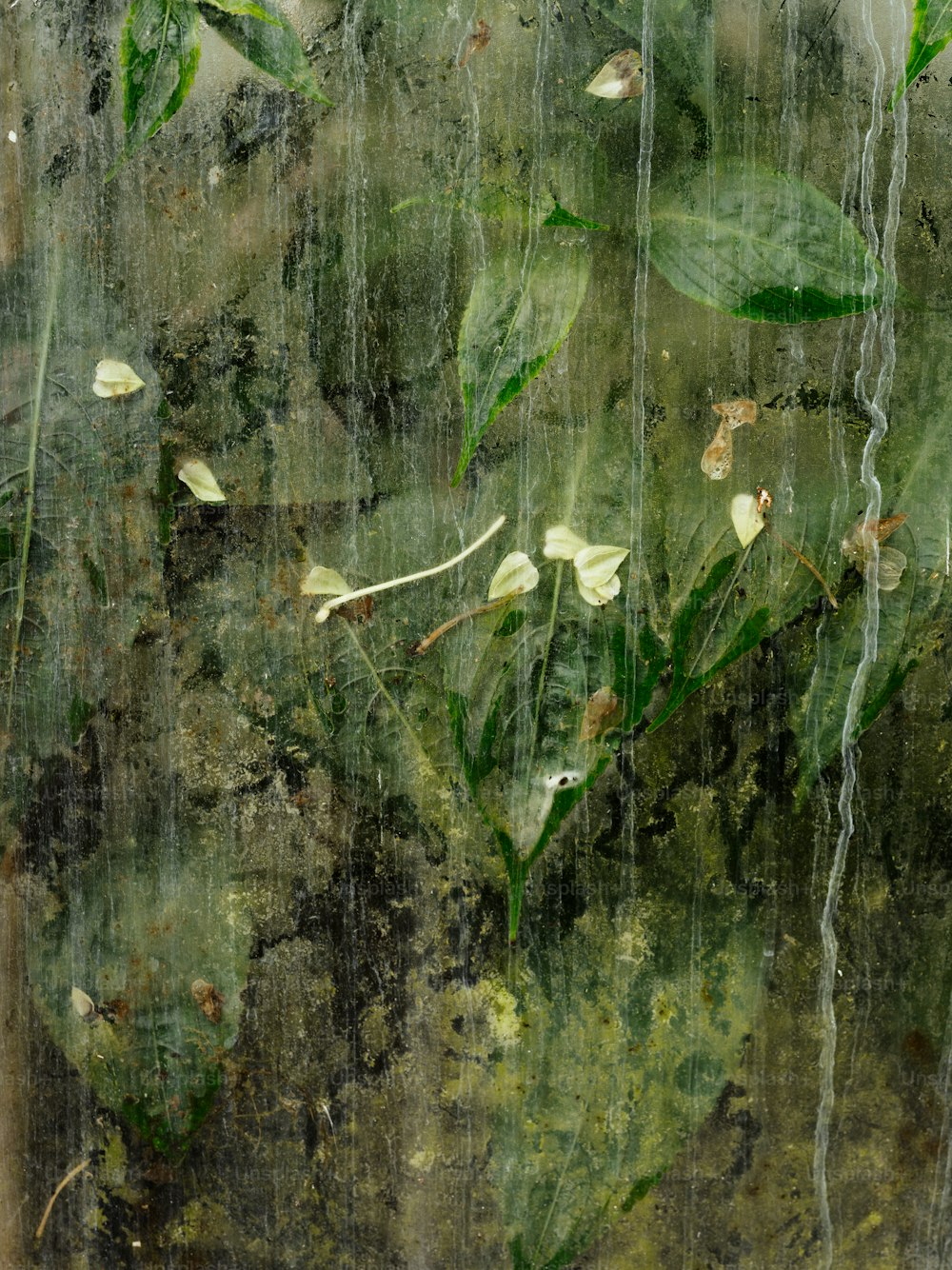 벽에 나뭇잎과 물의 그림