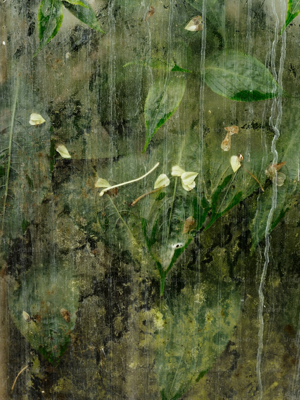 a painting of leaves and water on a wall