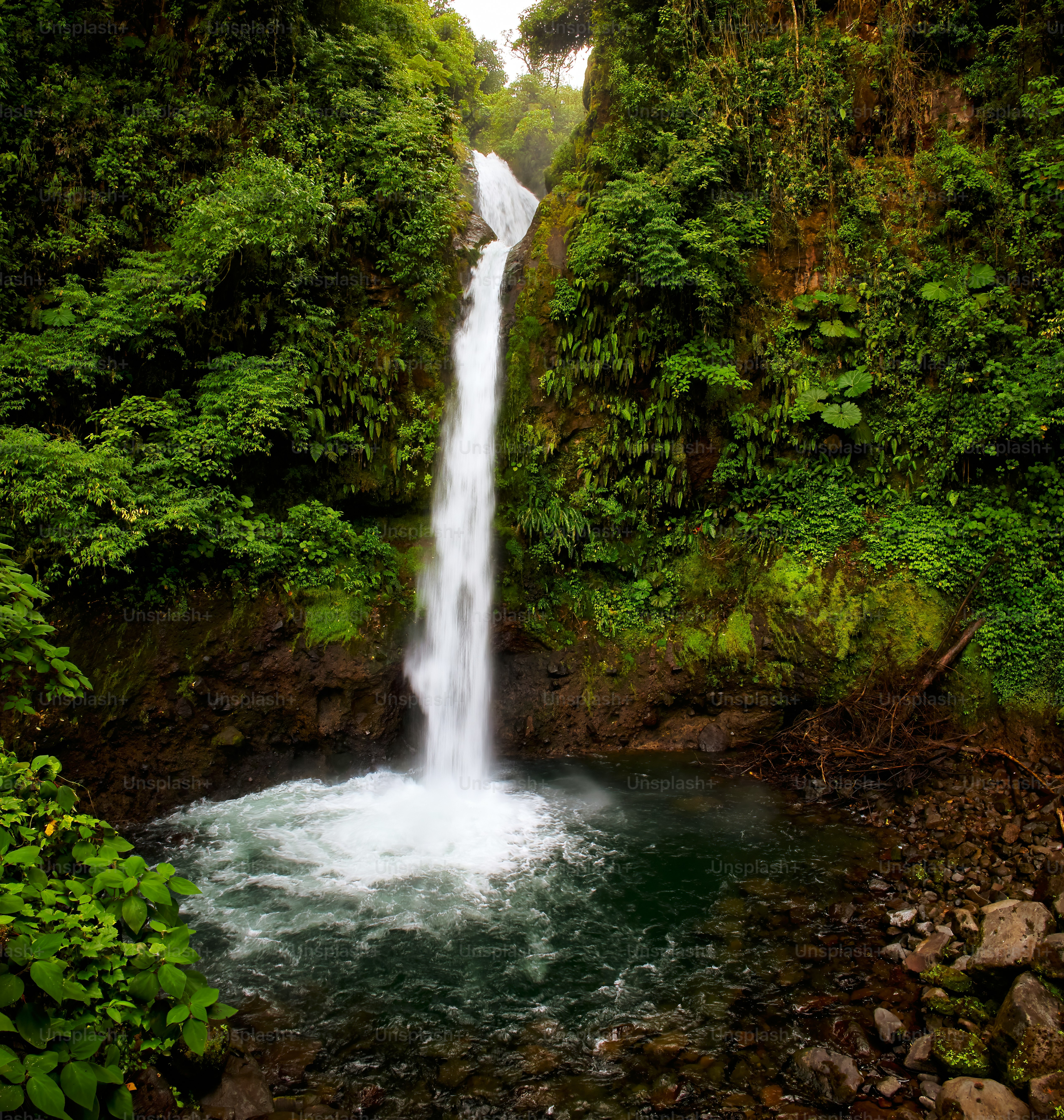 Une petite cascade au milieu d’une forêt