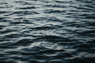 a body of water that is very dark