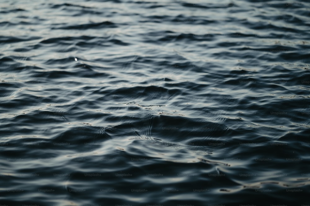 a body of water that is very dark