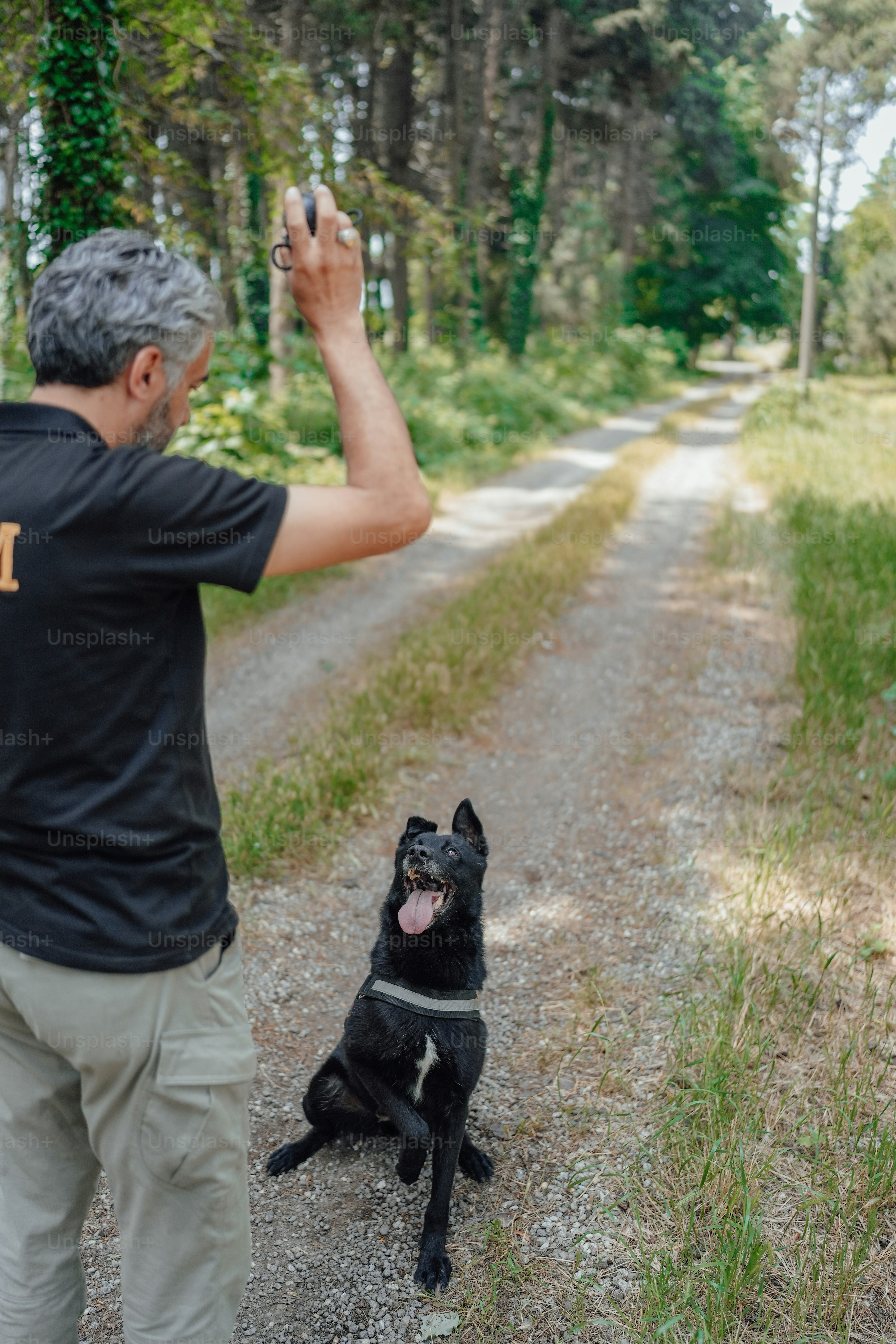 narcotics police train their narcotics dog