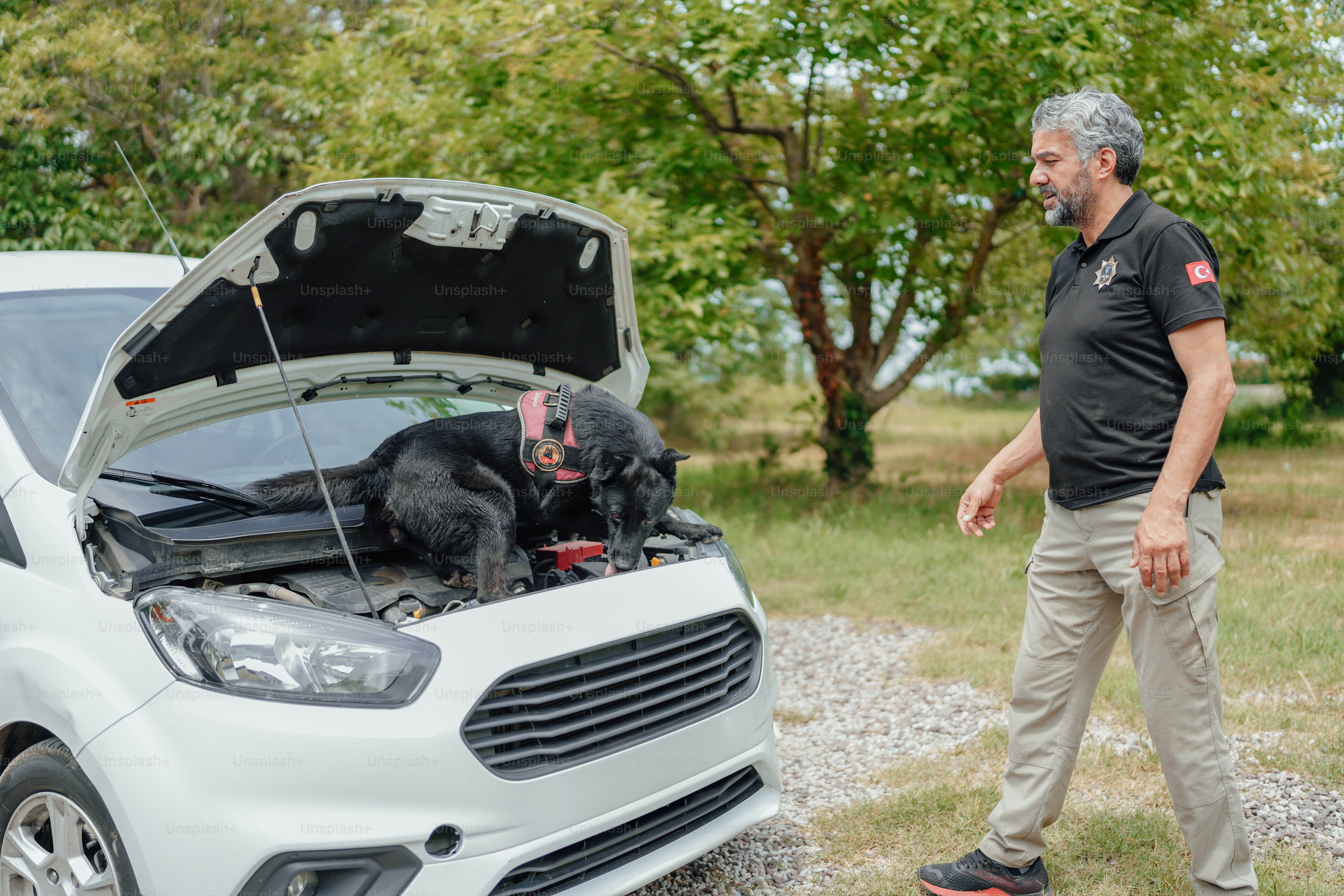 a man walking next to a car with a dog on the hood