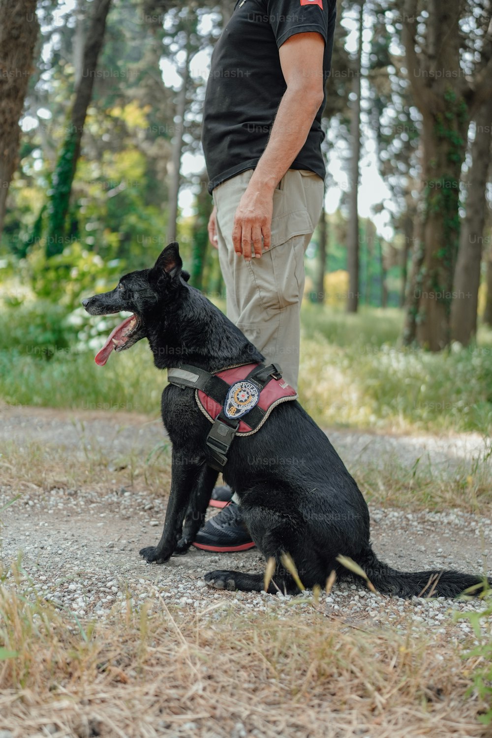 a man standing next to a black dog