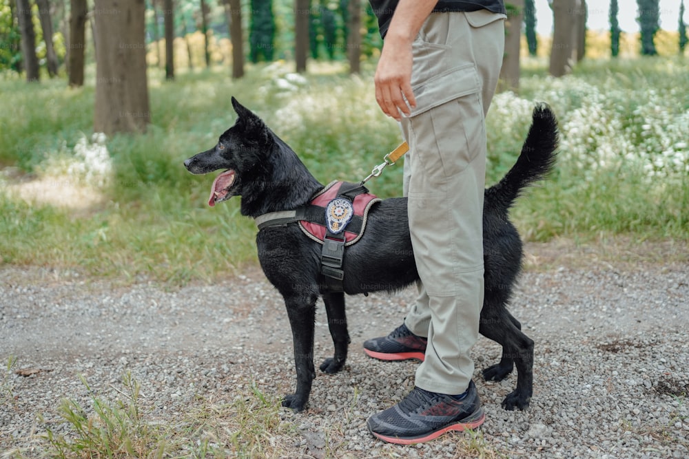 um homem passeando com um cachorro preto em uma coleira
