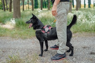 a man walking a black dog on a leash